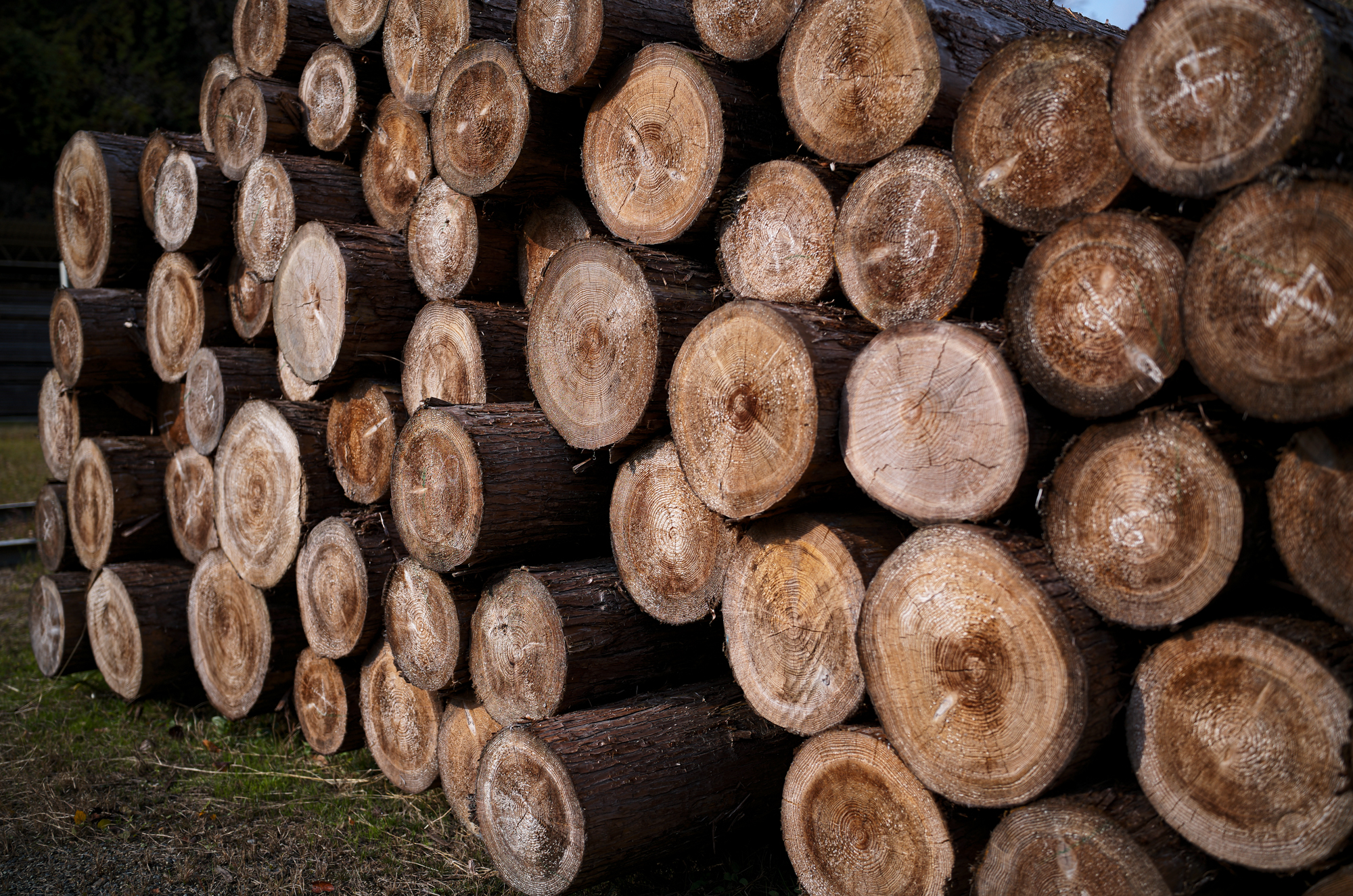 広島県府中市 Fuchu City, Hiroshima Prefecture 愛知 名古屋 Alto e Diritto altoediritto アルトエデリット