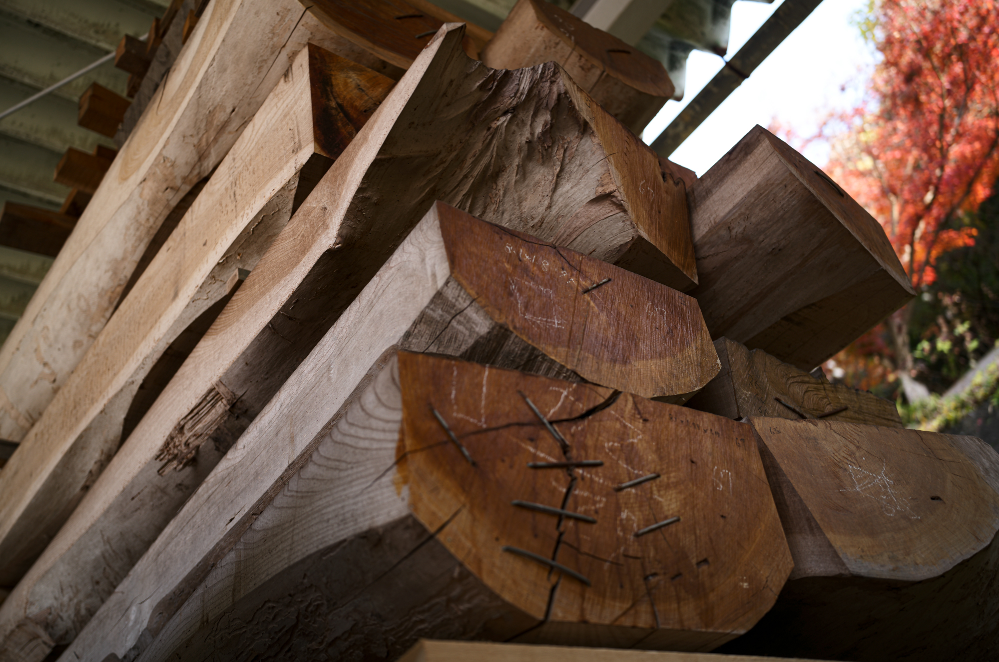 広島県府中市 Fuchu City, Hiroshima Prefecture 愛知 名古屋 Alto e Diritto altoediritto アルトエデリット