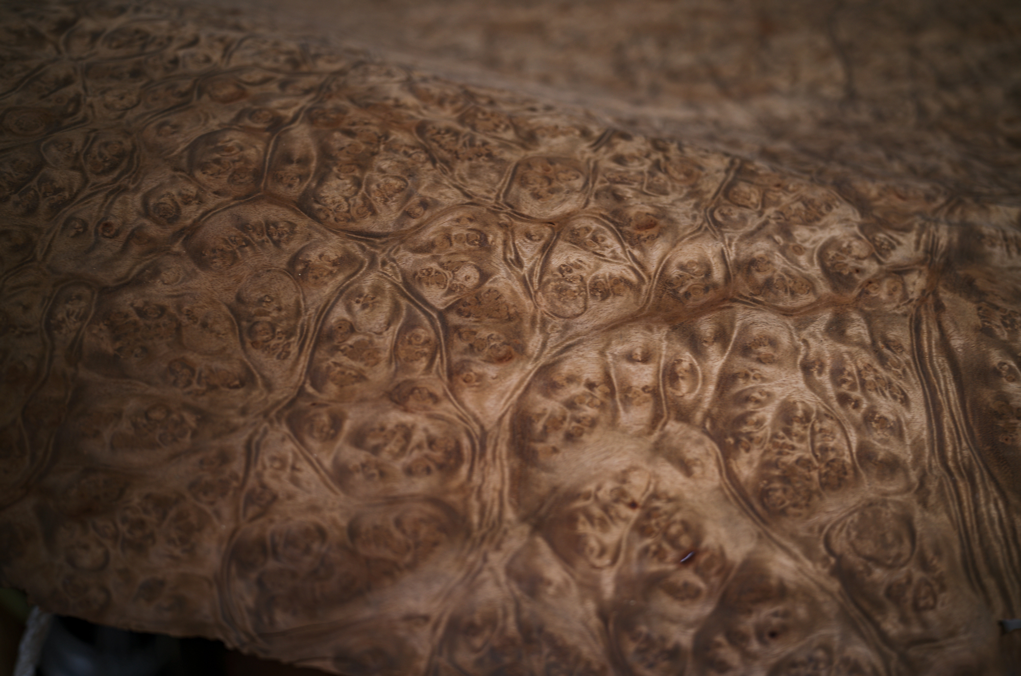 広島県府中市 Fuchu City, Hiroshima Prefecture 愛知 名古屋 Alto e Diritto altoediritto アルトエデリット