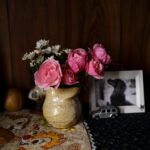 花は水を贈ってくれた人を決して忘れない Flowers never forget the person who gave them water ライカ LEICA APO SUMMICRON35 愛知 名古屋 Alto e Diritto altoediritto アルトエデリット