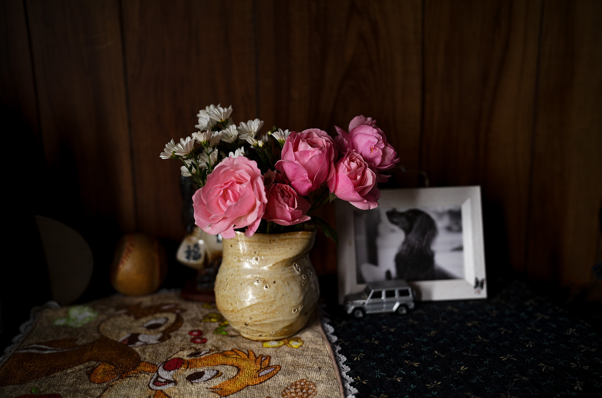 花は水を贈ってくれた人を決して忘れない Flowers never forget the person who gave them water ライカ LEICA APO SUMMICRON35 愛知 名古屋 Alto e Diritto altoediritto アルトエデリット