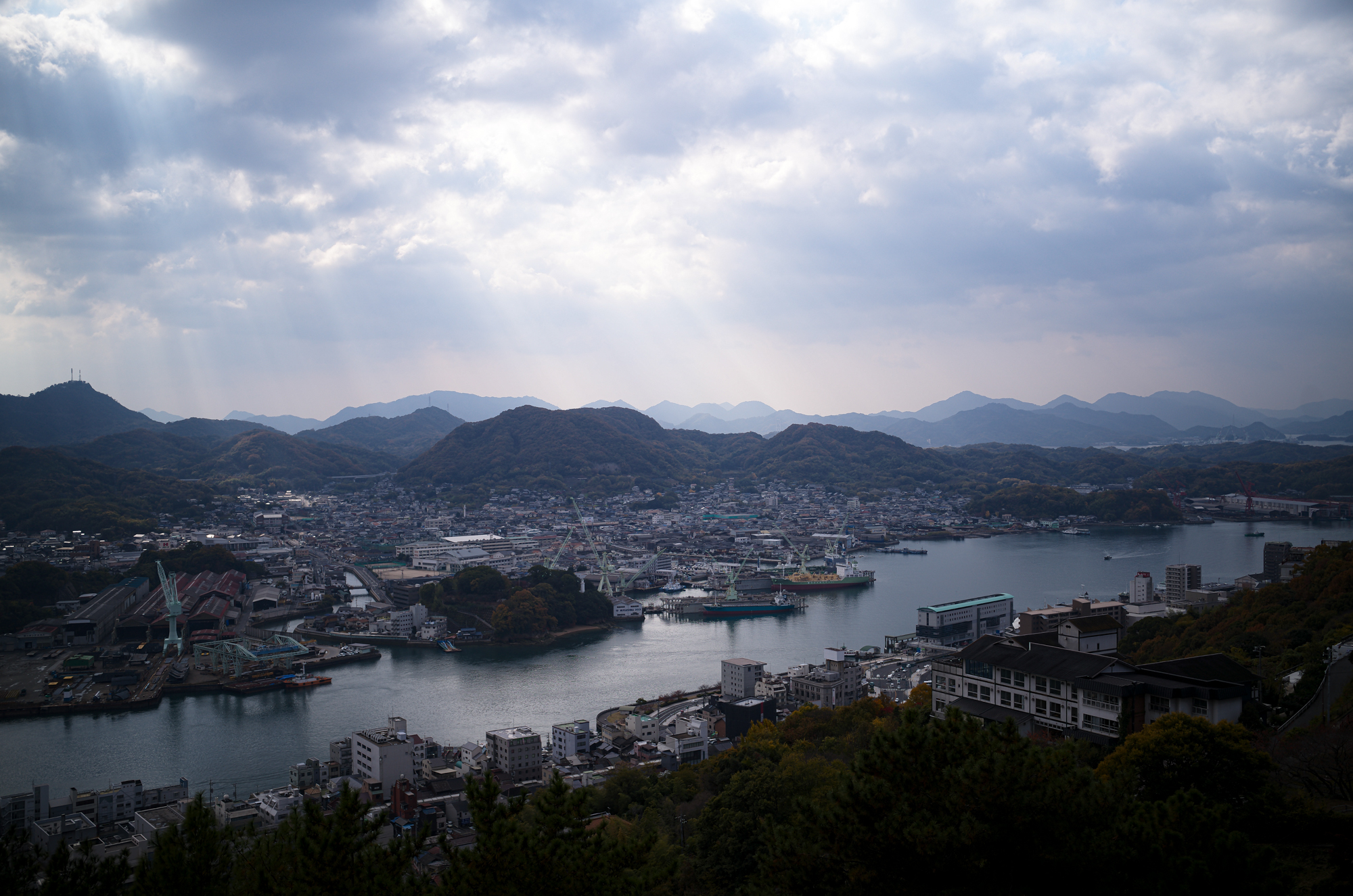 尾道 大宝山 千光寺　〒722-0033　尾道市東土堂町15-1　TEL：0848-23-2310　URL https://senkouji.jp/ 大宝山権現院千光寺は標高140m、尾道港を一望する大宝山の中腹にあり、（大同元年・806年）弘法大師の開基で中興は多田満仲公と伝えられています。珍しい舞台造りの本堂(貞享3年・1686年)は別名「赤堂」とも呼ばれ、林芙美子も放浪記の中で「赤い千光寺の塔が見える」と書いています。大宝山 千光寺は、広島県尾道市の旧市街に位置しています。尾道へのお越しには、自動車、高速乗合バス、新幹線、飛行機が主な交通手段となります。最寄の駅は新幹線『新尾道駅』もしくは在来線『尾道駅』となります。大宝山権現院千光寺は標高140m、尾道港を一望する大宝山の中腹にあり、（大同元年・806年）弘法大師の開基で中興は多田満仲公と伝えられています。開基は平安時代の始め大同元年（806年）で、後に源氏の名将多田満仲の中興と伝えている。境内中央の巨岩「玉の岩」は昔この岩の頂に如意宝珠があって、夜毎に海上を照らしていたのでこの地を「玉の浦」と呼ぶとか。玉の岩の右には朱塗りの本堂、左には龍宮造りの鐘楼を配して、尾道の風光のかなめをなしている。本堂は貞享三年（1686年）の建立で、この地方には珍しい舞台造り、堂内に置かれた須弥壇は応永から永享（1394～1440年）頃の作で、和様に唐様を加味した形式で、ここに安置された本尊は秘仏の千手観世音菩薩。鐘楼の鐘は除夜の鐘でもおなじみのもの「音に名高い千光寺の鐘は一里聞こえて二里ひびく」と俚謡にまでうたわれている。本堂までの長い階段の左右には、かつて若杉慧の「野の仏」にも紹介された古い石仏や除虫菊の創始者上山英一郎翁の頌徳碑や児玉不揺の筆塚などもある。この寺の眺望は我が国随一といわれ山頂から八合目あたりを巡る「文学のこみち」は、尾道の風光を愛でた文人墨客の作品を天然の岩に刻んだ遊歩道である。中国観音霊場第十番札所、備後西国観音霊場第七番札所本尊千手観世音菩薩は聖徳太子の御作と伝えられ、三十三年に一度開帳の秘仏。昔から「火伏せの観音」と称せられ、火難除けに霊験あらたかで、今は諸願成就の観音様としてお詣りが絶えません。尾道は往古より港町として栄え、風光明媚なことから多くの文人墨客が訪れています。中でも頼山陽は「六年重ねて来たる千光寺」と漢詩にも詠んでいます。千光寺にまつわる“尾道で最も有名な伝説”が『玉の岩』伝説です。千光寺の象徴ともいえる“玉の岩”の天頂部には、その昔光る玉がありました。尾道には“玉”にかかわる地名もあり、千光寺の名前の由来もここからきていると聞きます。