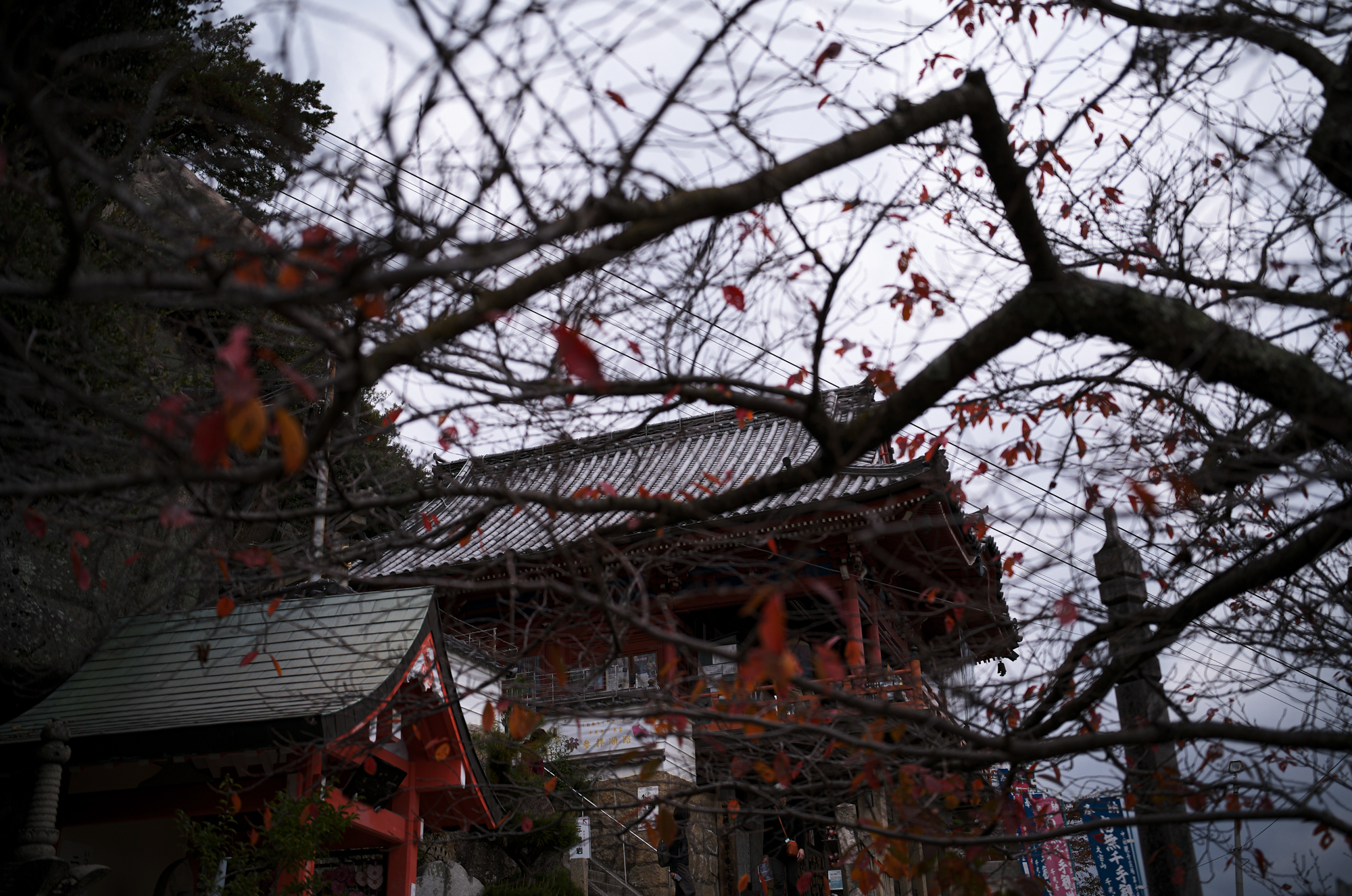 尾道 大宝山 千光寺　〒722-0033　尾道市東土堂町15-1　TEL：0848-23-2310　URL https://senkouji.jp/ 大宝山権現院千光寺は標高140m、尾道港を一望する大宝山の中腹にあり、（大同元年・806年）弘法大師の開基で中興は多田満仲公と伝えられています。珍しい舞台造りの本堂(貞享3年・1686年)は別名「赤堂」とも呼ばれ、林芙美子も放浪記の中で「赤い千光寺の塔が見える」と書いています。大宝山 千光寺は、広島県尾道市の旧市街に位置しています。尾道へのお越しには、自動車、高速乗合バス、新幹線、飛行機が主な交通手段となります。最寄の駅は新幹線『新尾道駅』もしくは在来線『尾道駅』となります。大宝山権現院千光寺は標高140m、尾道港を一望する大宝山の中腹にあり、（大同元年・806年）弘法大師の開基で中興は多田満仲公と伝えられています。開基は平安時代の始め大同元年（806年）で、後に源氏の名将多田満仲の中興と伝えている。境内中央の巨岩「玉の岩」は昔この岩の頂に如意宝珠があって、夜毎に海上を照らしていたのでこの地を「玉の浦」と呼ぶとか。玉の岩の右には朱塗りの本堂、左には龍宮造りの鐘楼を配して、尾道の風光のかなめをなしている。本堂は貞享三年（1686年）の建立で、この地方には珍しい舞台造り、堂内に置かれた須弥壇は応永から永享（1394～1440年）頃の作で、和様に唐様を加味した形式で、ここに安置された本尊は秘仏の千手観世音菩薩。鐘楼の鐘は除夜の鐘でもおなじみのもの「音に名高い千光寺の鐘は一里聞こえて二里ひびく」と俚謡にまでうたわれている。本堂までの長い階段の左右には、かつて若杉慧の「野の仏」にも紹介された古い石仏や除虫菊の創始者上山英一郎翁の頌徳碑や児玉不揺の筆塚などもある。この寺の眺望は我が国随一といわれ山頂から八合目あたりを巡る「文学のこみち」は、尾道の風光を愛でた文人墨客の作品を天然の岩に刻んだ遊歩道である。中国観音霊場第十番札所、備後西国観音霊場第七番札所本尊千手観世音菩薩は聖徳太子の御作と伝えられ、三十三年に一度開帳の秘仏。昔から「火伏せの観音」と称せられ、火難除けに霊験あらたかで、今は諸願成就の観音様としてお詣りが絶えません。尾道は往古より港町として栄え、風光明媚なことから多くの文人墨客が訪れています。中でも頼山陽は「六年重ねて来たる千光寺」と漢詩にも詠んでいます。千光寺にまつわる“尾道で最も有名な伝説”が『玉の岩』伝説です。千光寺の象徴ともいえる“玉の岩”の天頂部には、その昔光る玉がありました。尾道には“玉”にかかわる地名もあり、千光寺の名前の由来もここからきていると聞きます。