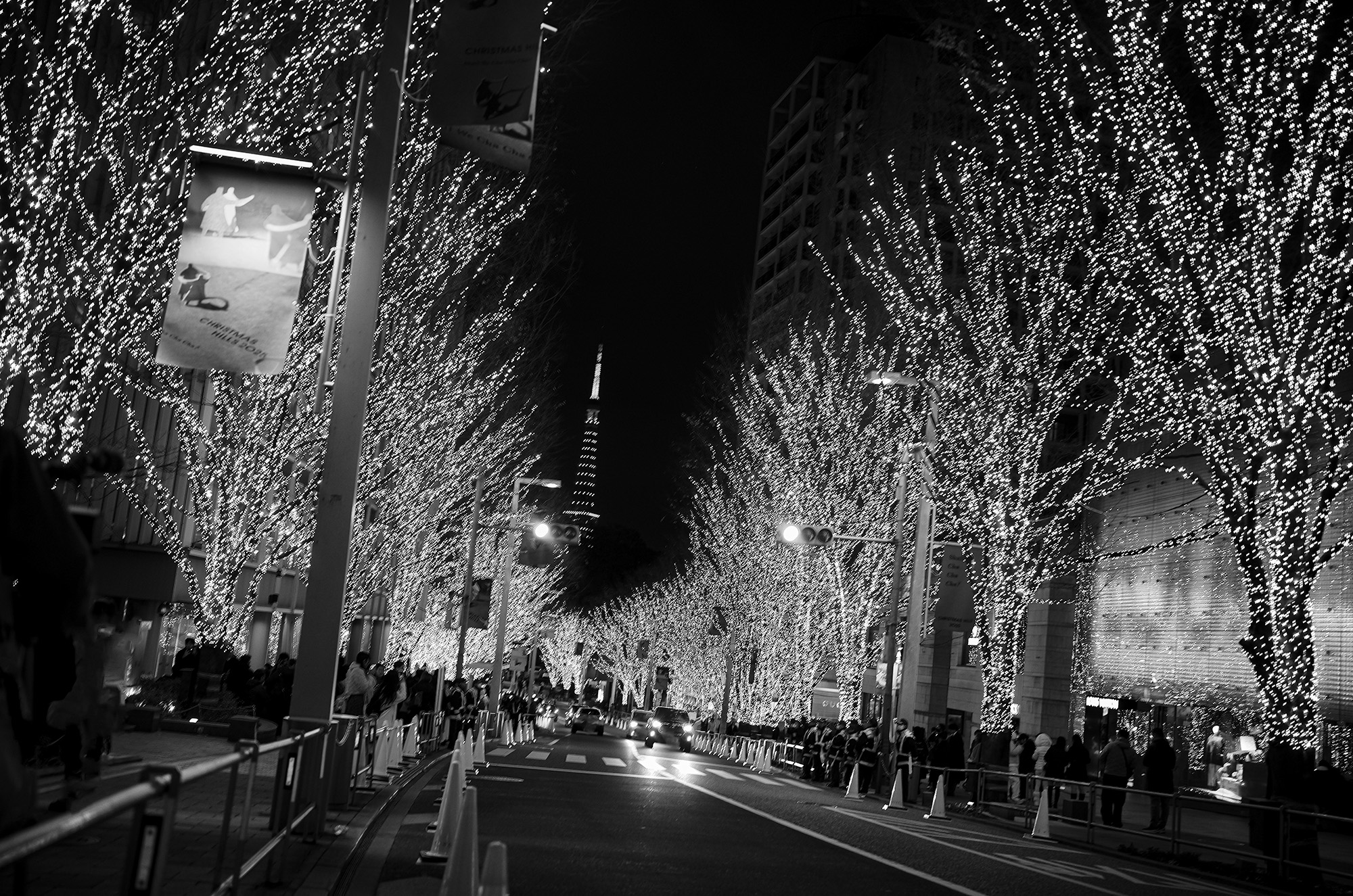 LEICA 2025 My Favorite Photos (17) 愛知　名古屋 Alto e Diritto altoediritto アルトエデリット 写真 マイベスト ライカ