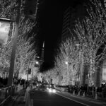 A Silent Hit 的を得る クリスマス メリークリスマス 六本木ヒルズ LEICA ライカ イルミネーション