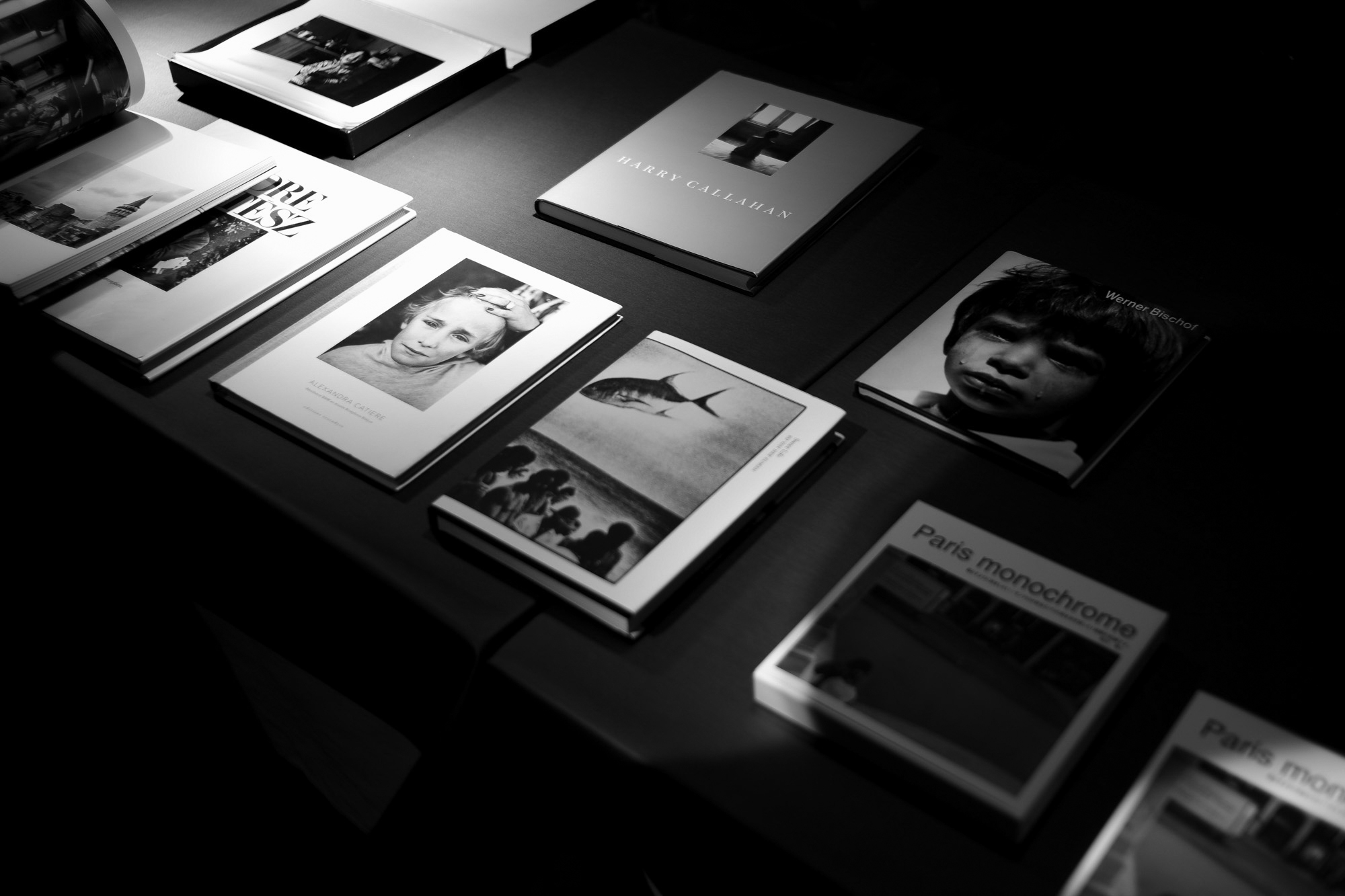 沈黙の中軸 — The Silent Axis — 愛知 名古屋 Alto e Diritto altoediritto アルトエデリット 商い