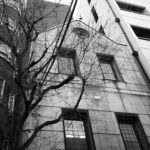 第一章｜数を追わない理由 — Why We Do Not Chase Numbers — 綴る JAPAN 日本 愛知 名古屋 Alto e Diritto altoediritto アルトエデリット Chapter One｜Why We Do Not Chase Numbers — Why We Do Not Chase Numbers —