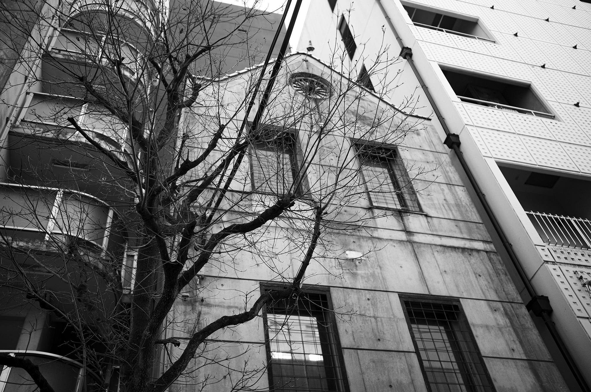 第一章｜数を追わない理由 — Why We Do Not Chase Numbers — 綴る JAPAN 日本 愛知 名古屋 Alto e Diritto altoediritto アルトエデリット Chapter One｜Why We Do Not Chase Numbers — Why We Do Not Chase Numbers —