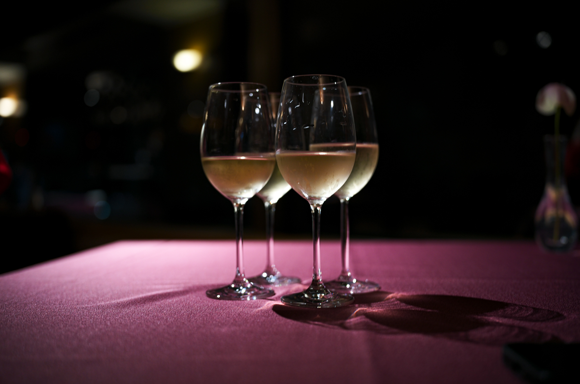 Gentle Light — A Birthday Gathering 誕生日会 Happy Birthday JAPAN 日本 愛知 名古屋 Alto e Diritto altoediritto アルトエデリット