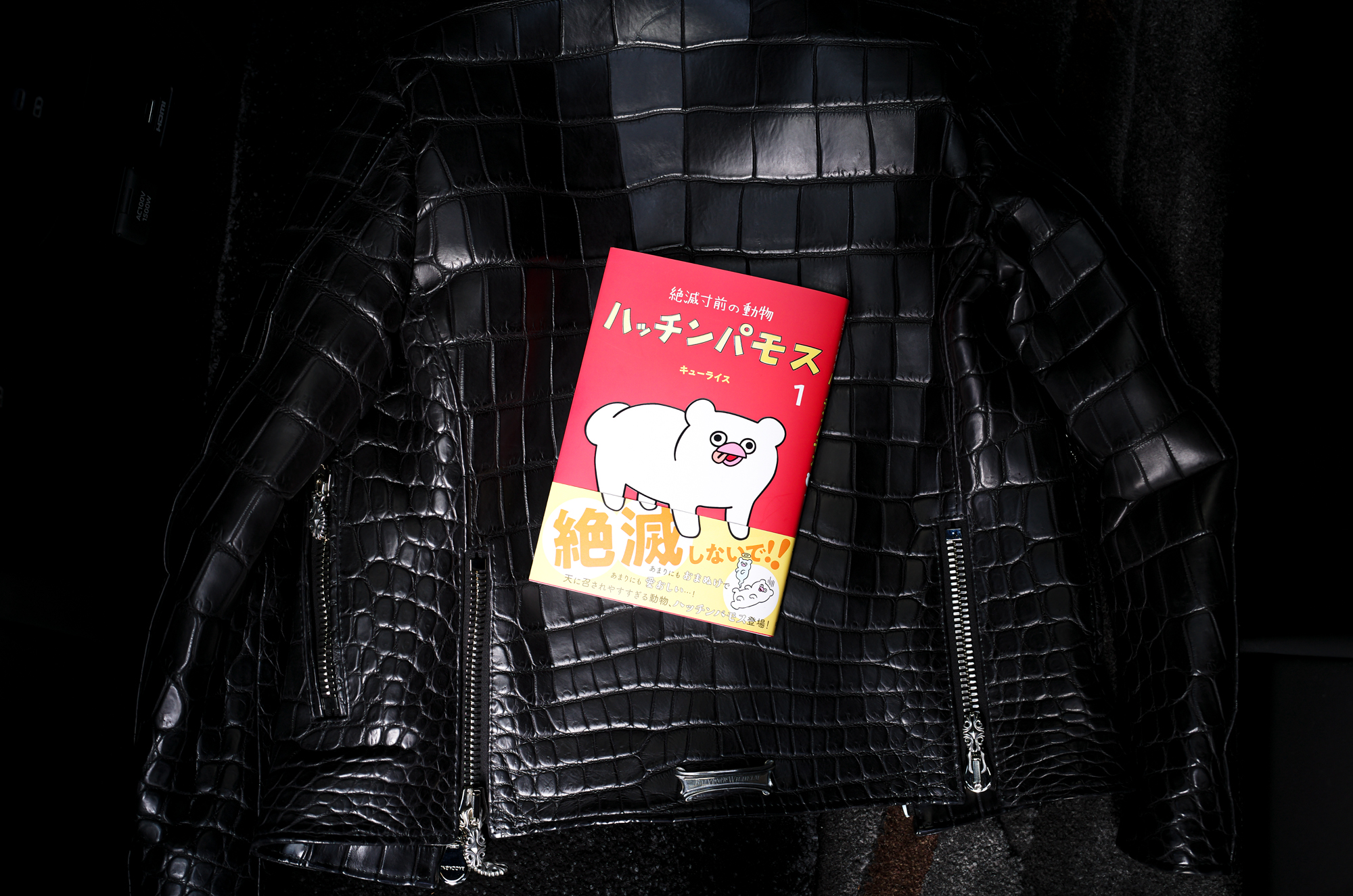 — クロコで、パモス。 — — Crocodile Leather, Pamos — JAPAN 日本 愛知 名古屋 Alto e Diritto altoediritto アルトエデリット キューライス 東京タワー ハッチンパモス