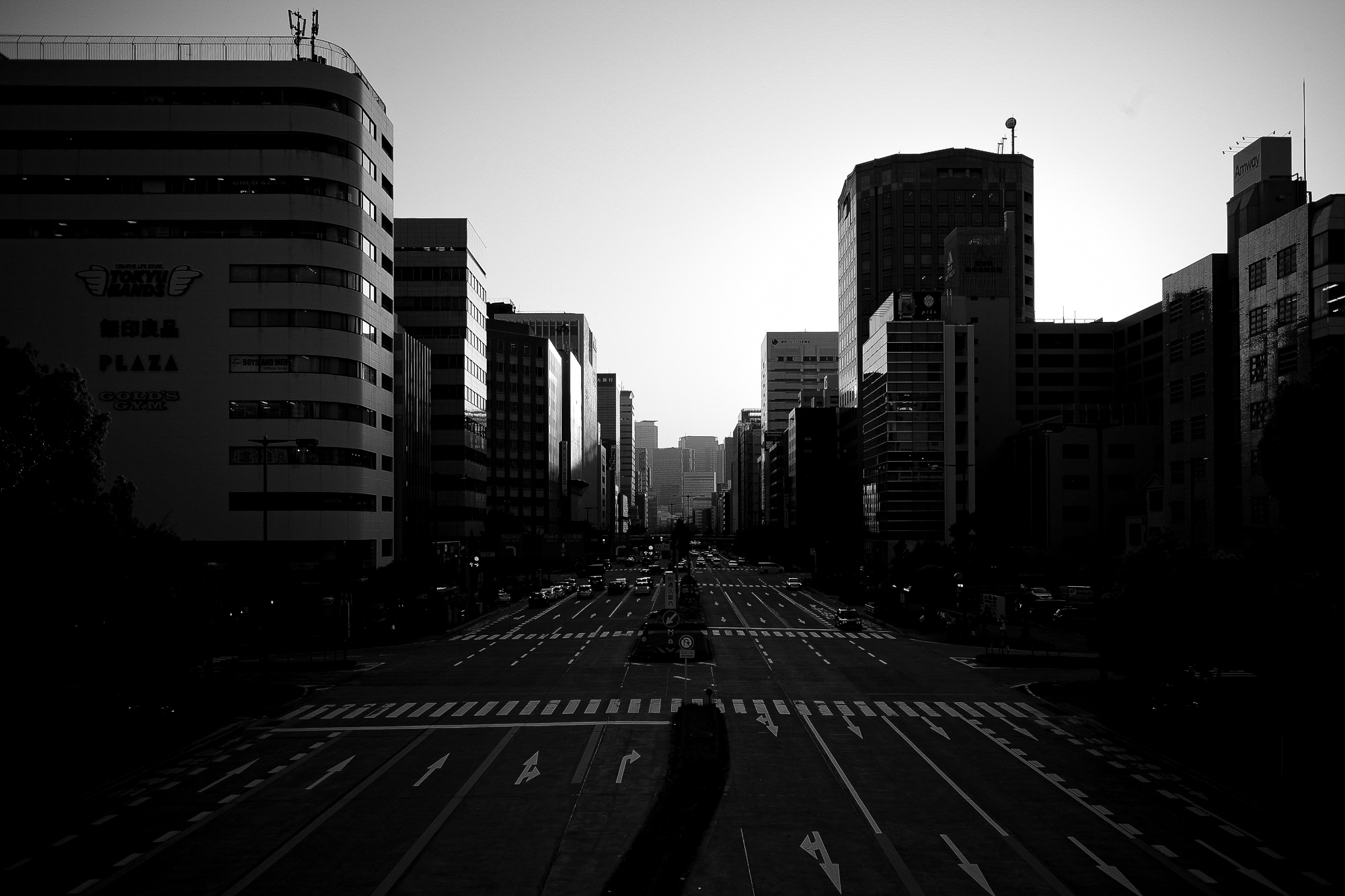 胆力は、反復の中で鍛えられる。 — Fortitude Is Forged Through Repetition — JAPAN 日本 愛知　名古屋 Alto e Diritto altoediritto アルトエデリット　綴る