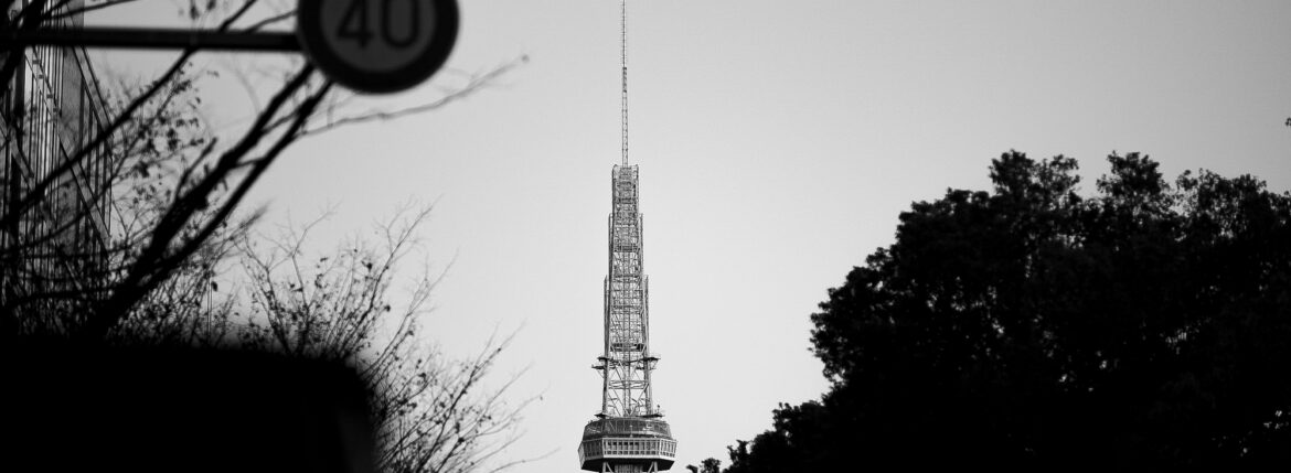 尖れば伝説になる。 — If You Sharpen, You Become a Legend. — JAPAN 日本 愛知　名古屋 Alto e Diritto altoediritto アルトエデリット 綴る CROCODILE クロコダイル レザージャケット ライダースジャケット