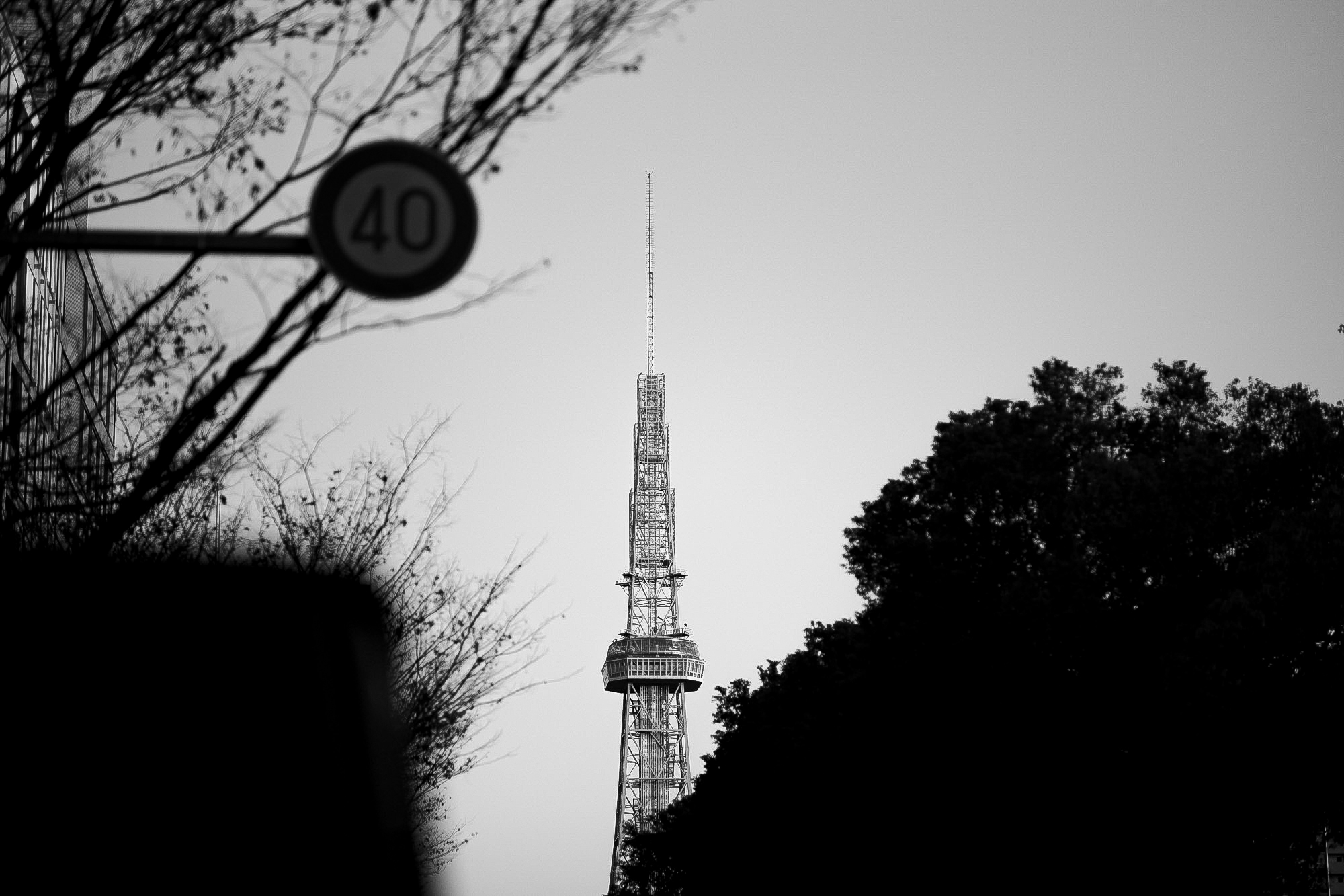 尖れば伝説になる。 — If You Sharpen, You Become a Legend. — JAPAN 日本 愛知　名古屋 Alto e Diritto altoediritto アルトエデリット 綴る CROCODILE クロコダイル レザージャケット ライダースジャケット
