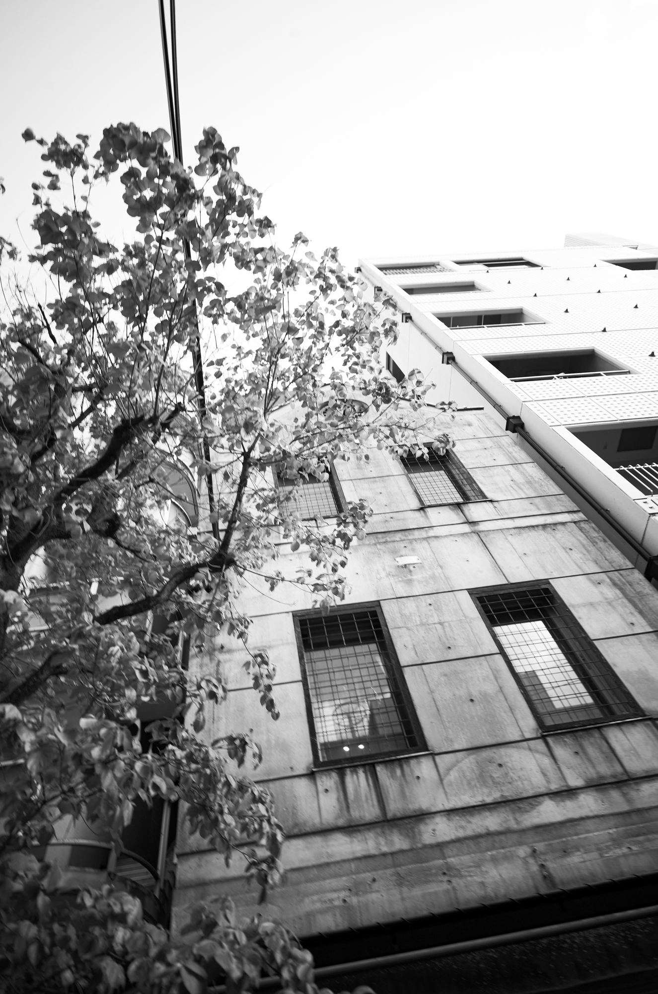 GW休暇 — 余白もまた、在り方。 / Silence is also a Form — JAPAN 日本 愛知 名古屋 Alto e Diritto altoediritto アルトエデリット