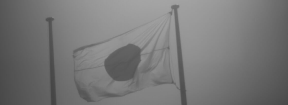 日の丸 / The Flag Within JAPAN 日本 愛知 名古屋 Alto e Diritto altoediritto アルトエデリット