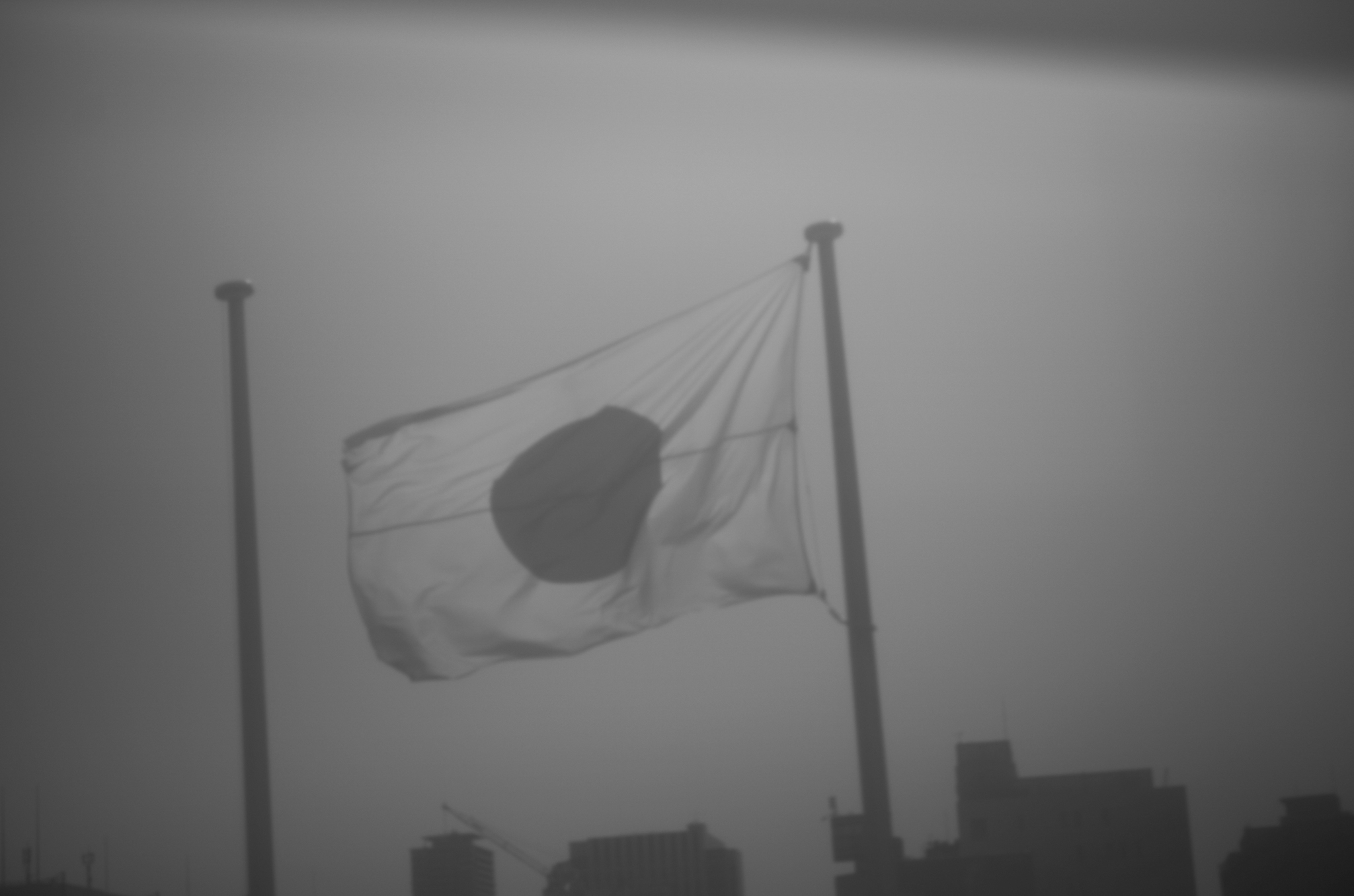 日の丸 / The Flag Within JAPAN 日本 愛知 名古屋 Alto e Diritto altoediritto アルトエデリット