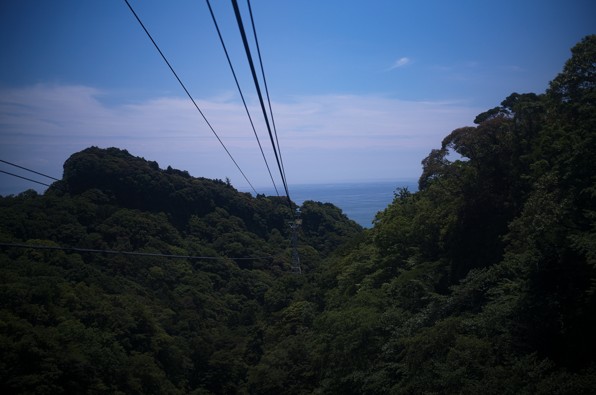 久能山東照宮、あの日吹いた風。/ Kunōzan Tōshōgū – The Wind That Blew That Day — 久能山東照宮 〒422-8011 静岡県静岡市駿河区根古屋３９０　1617年　JAPAN 日本 愛知 名古屋 Alto e Diritto altoediritto アルトエデリット 祈祷 2026年6月10日 水曜日 ありがとうございます 国宝である久能山東照宮は、徳川家康を祀る全国の東照宮のルーツです。本殿には、家康に加えて織田信長と豊臣秀吉が「相殿」として祀られており、天下統一を成し遂げた三英傑が一堂に会する全国で唯一の特別な神社となっています。三英傑が祀られている背景久能山東照宮の創建後、明治時代の神仏分離令を経て、「戦国時代の争乱を終わらせ、日本に平和をもたらした三柱の神」という解釈から、織田信長と豊臣秀吉が徳川家康と共に本殿に勧請されました。　徳川家康公をお祀りする最初の神社、静岡県静岡市の久能山東照宮公式ウェブサイトです。当時の技術と芸術が凝縮された社殿は、平成22年12月に国宝指定されました。久能山東照宮は、日本の静岡市駿河区根古屋に所在する神社である。江戸幕府を創始して晩年を駿府で大御所として過ごした徳川家康が元和2年に死去、遺命によってこの地に埋葬された。駿河湾に面した久能山の南斜面に設けられた表参道を登った上に神社がある。久能山東照宮（くのうざんとうしょうぐう）は、日本の静岡市駿河区根古屋に所在する神社である。江戸幕府を創始して晩年を駿府（現:静岡市葵区）で大御所として過ごした徳川家康が元和2年（1616年）に死去、遺命によってこの地に埋葬された。駿河湾に面した久能山の南斜面に設けられた表参道（1159段の曲がりくねった石段）を登った上に神社がある[2]。江戸時代には20年に一度、明治時代以降では50年に一度、社殿を始めとした諸建造物の漆塗り替えが行われており、近年では2006年（平成18年）に社殿の塗り替えが完了した。2010年（平成22年）12月に、本殿、石の間、拝殿が国宝に指定された。2015年（平成27年）には鎮座400年を迎え、様々な催し物が企画、開催された。家康は、大御所として駿府に在城当時、「久能城は駿府城の本丸と思う」と久能山の重要性を説いたといわれる。死後、その遺骸は遺命によって久能山に葬られ、元和3年(1617年)12月には江戸幕府第2代将軍徳川秀忠によって東照社（現・久能山東照宮）の社殿が造営された。家康の遺命は久能山への埋葬および日光山への神社造営であったので、日光山の東照社（現・日光東照宮）もほぼ同時期に造営が始まっている。日光東照宮は第3代将軍徳川家光の代における「寛永の大造替」で、徳川家康を祀る日本全国の東照宮の総本社的存在となった。同時に家光は久能山の整備も命じており、社殿以外の透塀、薬師堂（現・日枝神社）、神楽殿、鐘楼（現・鼓楼）、五重塔（後述の事情で現存せず）、楼門が増築された。なお、駿府城代支配の職である久能山総門番として代々久能の地を領して久能山東照宮を管理したのは、交代寄合の榊原家であった。造営以来の多くの建造物が現存するが、寛永期に徳川家光が造営を命じた五重塔は、明治時代初期の神仏分離によって解体を余儀なくされた。