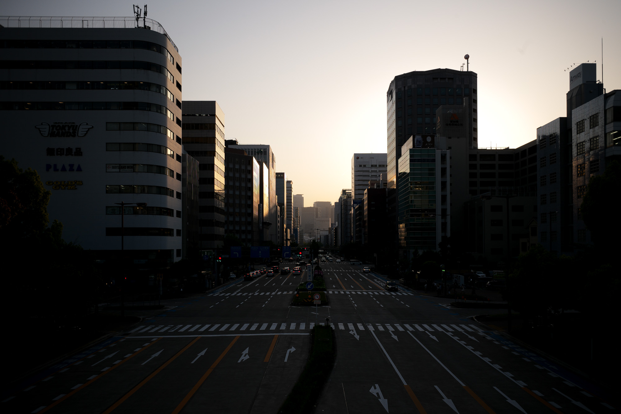 時間が育てたもの。/ What Time Has Nurtured — JAPAN　日本 愛知 名古屋 Alto e Diritto altoediritto アルトエデリット 綴る