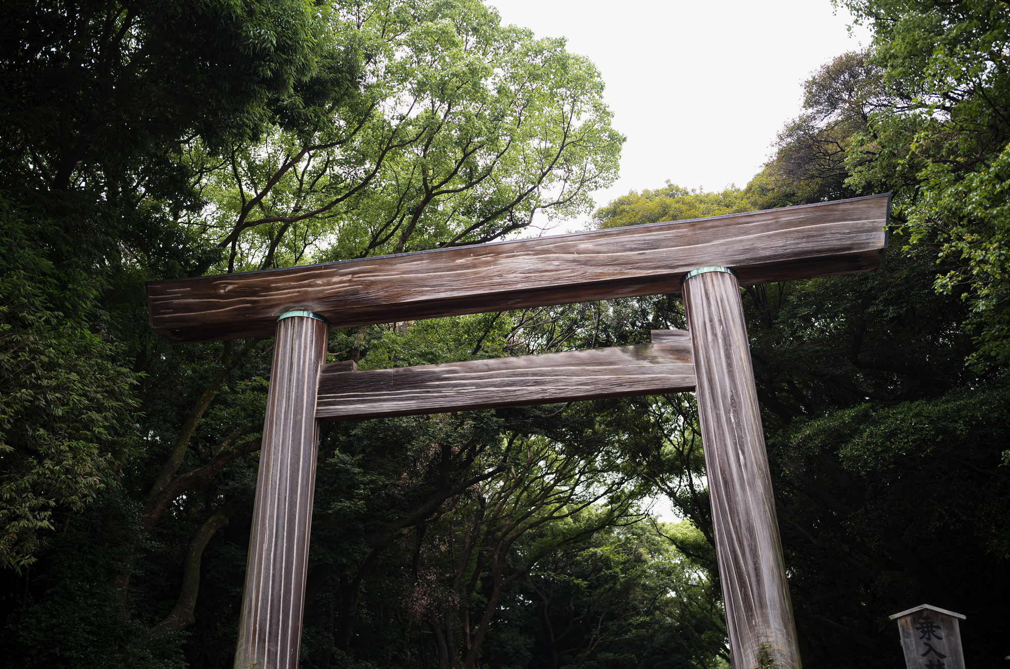 静かに、折り返す。 / Quietly, Crossing the Midpoint. — 熱田神宮 2026年7月1日 ぜんざい 鯉 JAPAN 日本 愛知 名古屋 Alto e Diritto altoediritto アルトエデリット