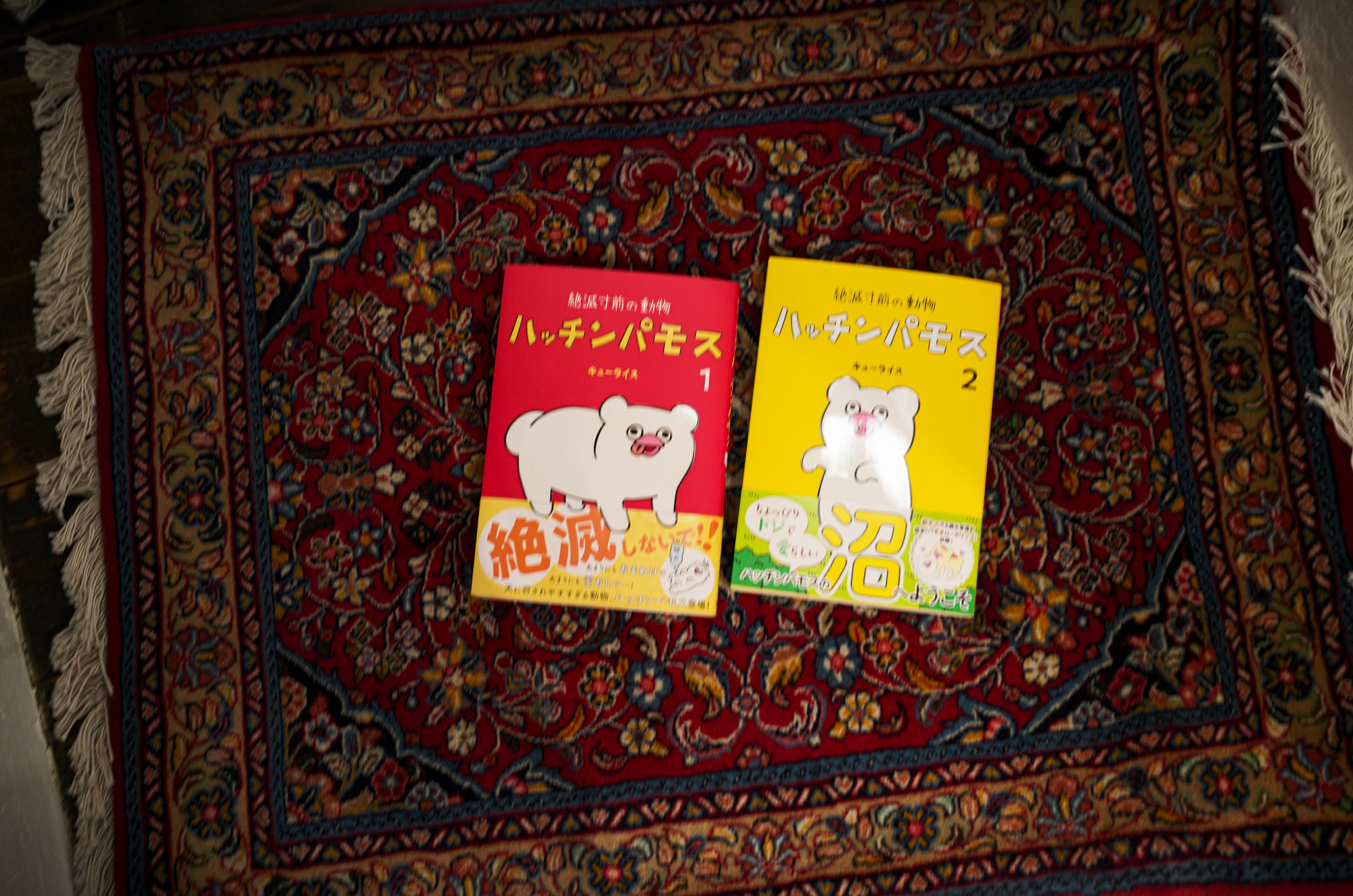 — PAMO. / パモスは、だいたい効く。— キューライス ハッチンパモス 絶滅寸前の動物 沼 パモ JAPAN 日本 愛知 名古屋 Alto e Diritto altoediritto アルトエデリット